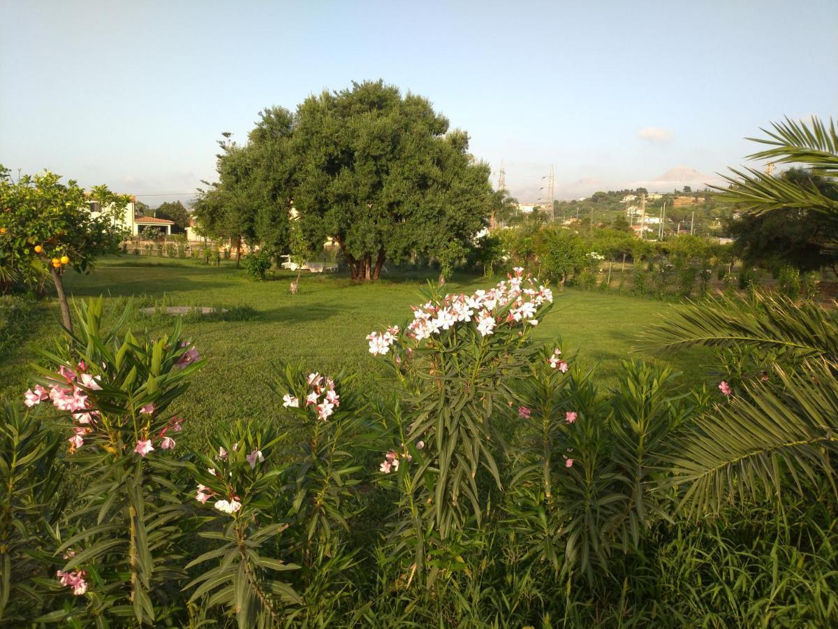 Villa Teti - Sicilia Campofelice Di Roccella Zewnętrze zdjęcie