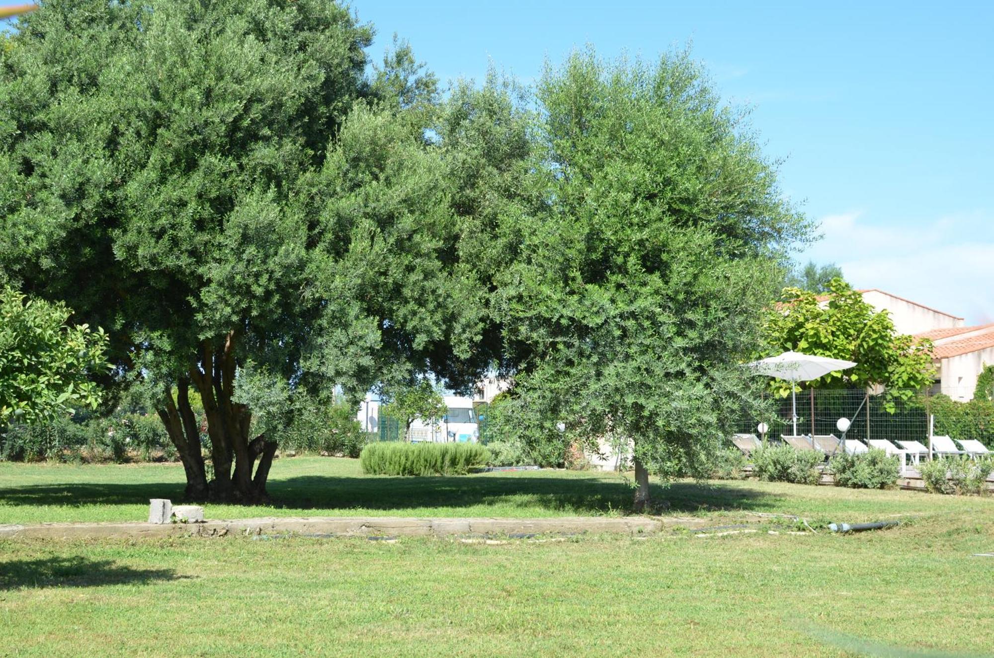 Villa Teti - Sicilia Campofelice Di Roccella Zewnętrze zdjęcie